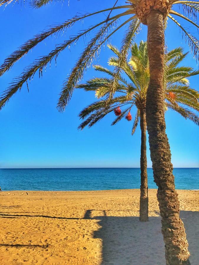 El Nacar Bed & Breakfast Marbella Dış mekan fotoğraf